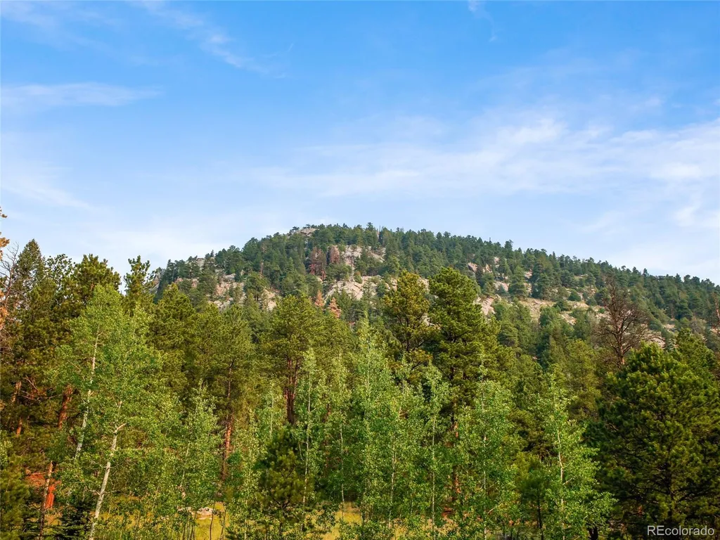 00 S Le Masters Drive Evergreen CO 80439