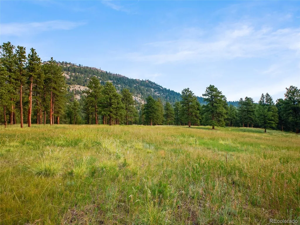 00 S Le Masters Drive Evergreen CO 80439