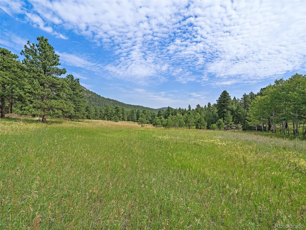 00 S Le Masters Drive Evergreen CO 80439