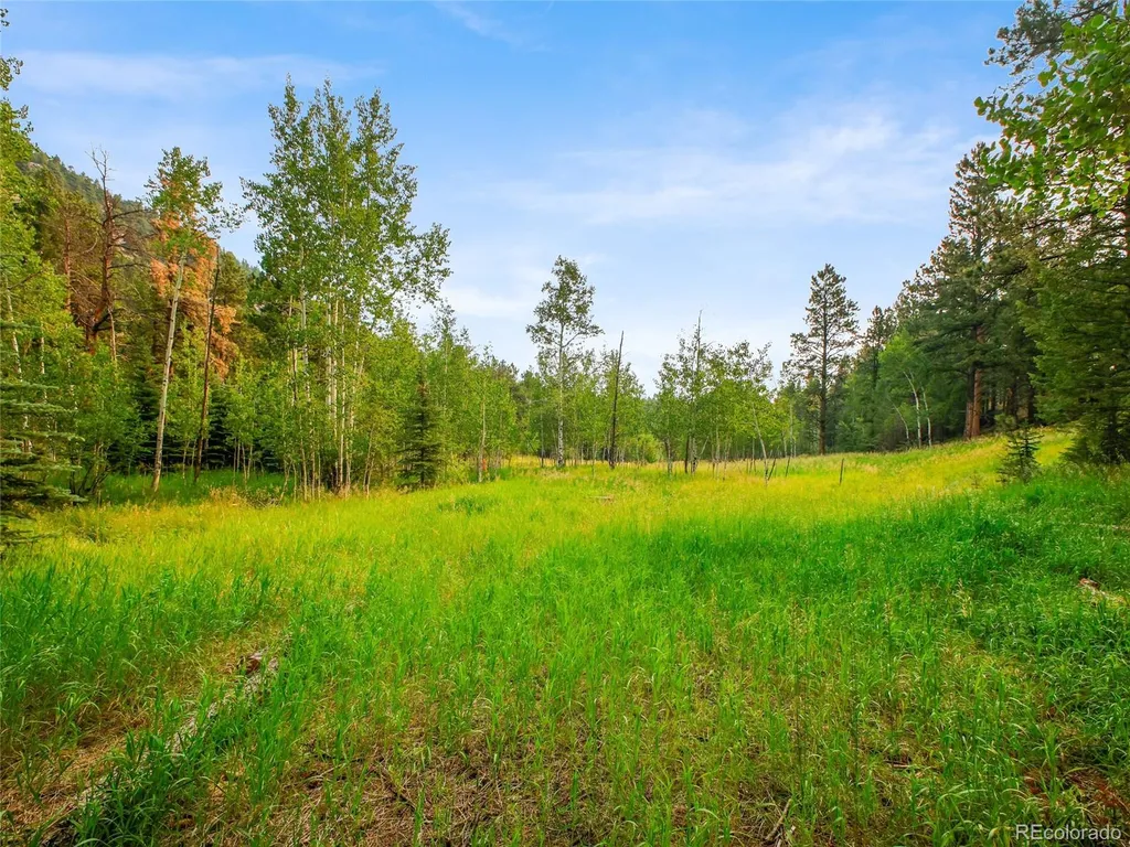 00 S Le Masters Drive Evergreen CO 80439