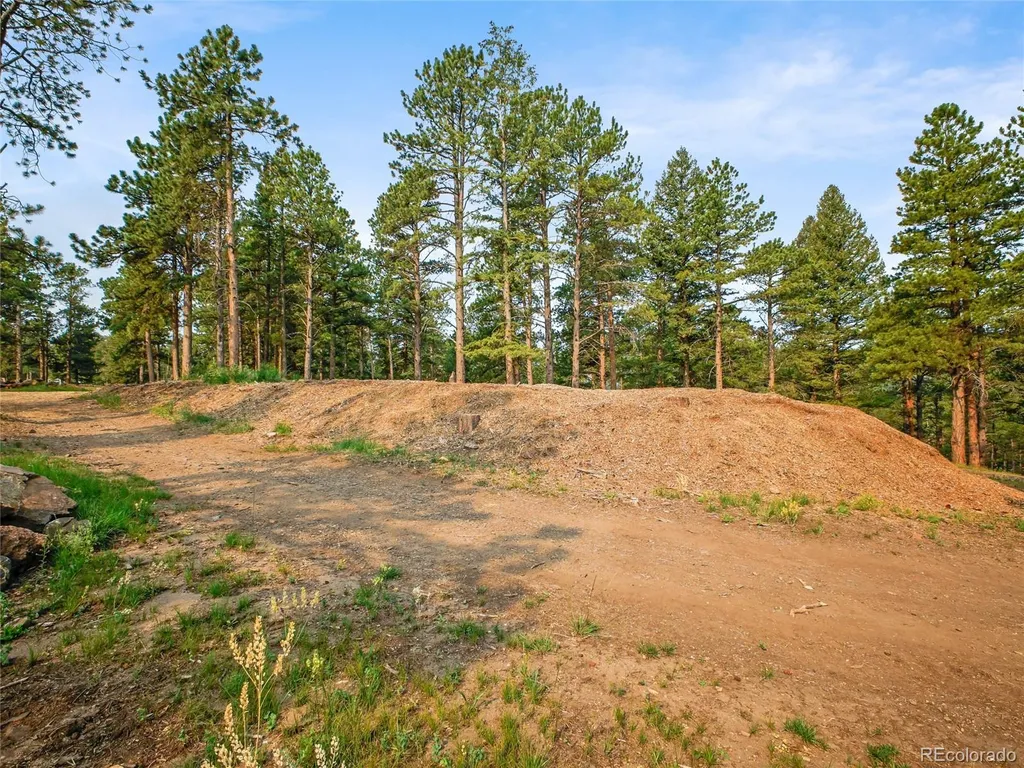 00 S Le Masters Drive Evergreen CO 80439