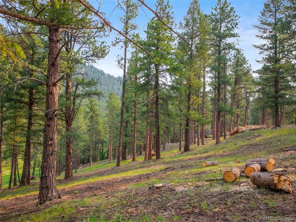 00 S Le Masters Drive Evergreen CO 80439