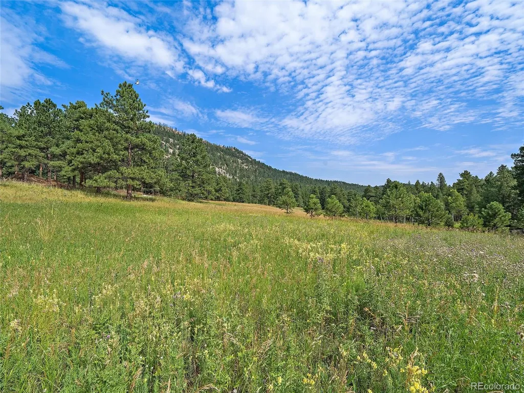 00 S Le Masters Drive Evergreen CO 80439