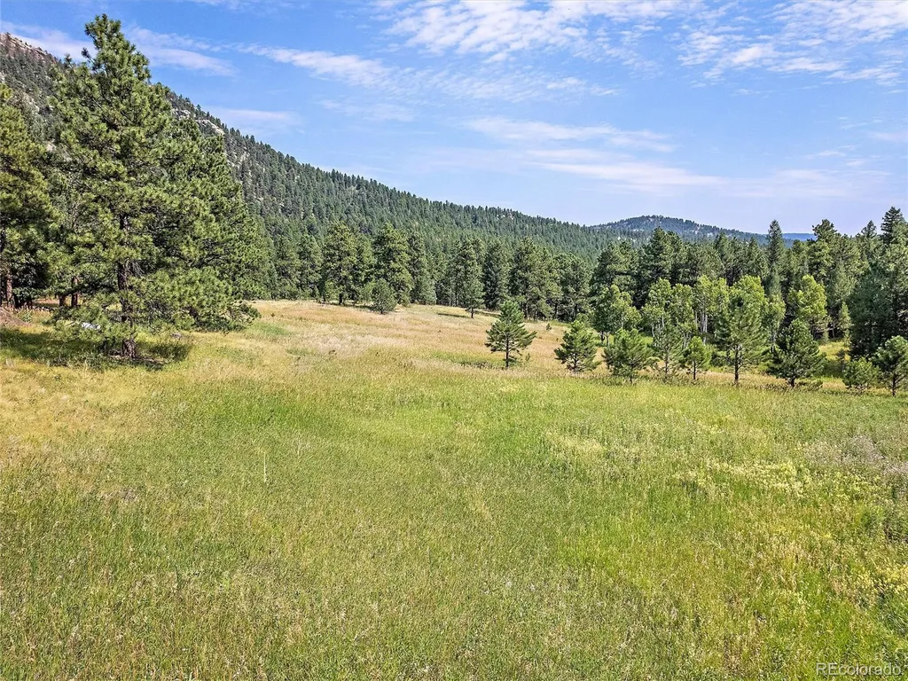 00 S Le Masters Drive Evergreen CO 80439
