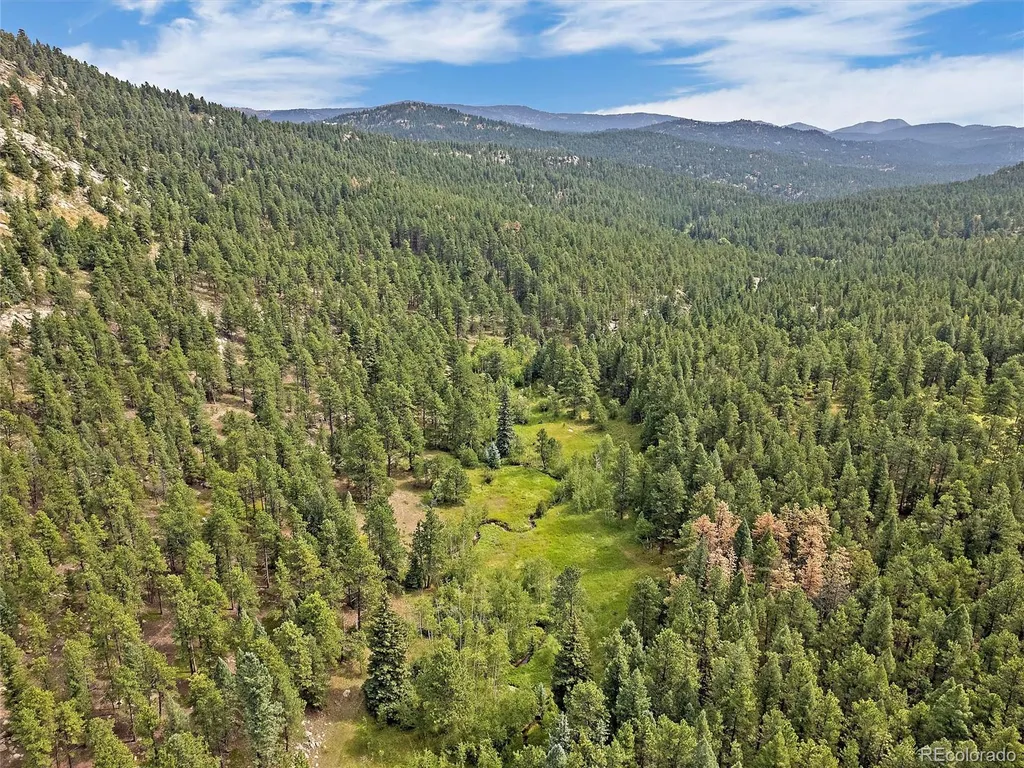 00 S Le Masters Drive Evergreen CO 80439
