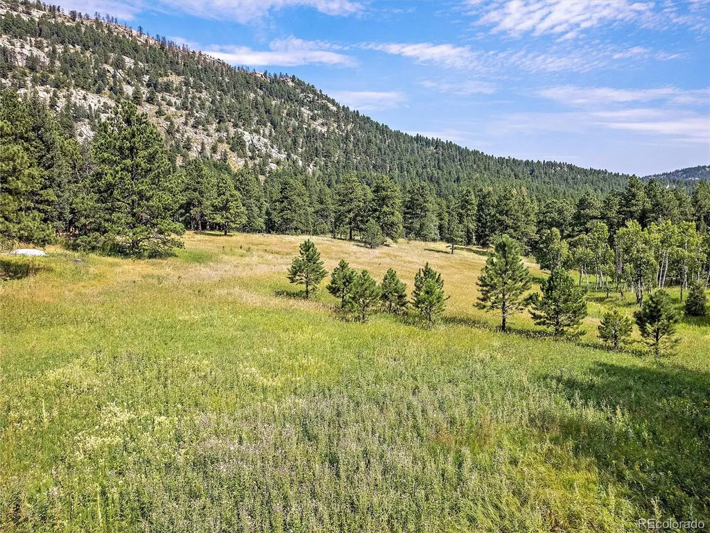 00 S Le Masters Drive Evergreen CO 80439