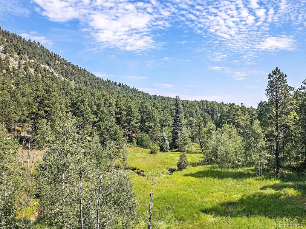 00 S Le Masters Drive Evergreen CO 80439
