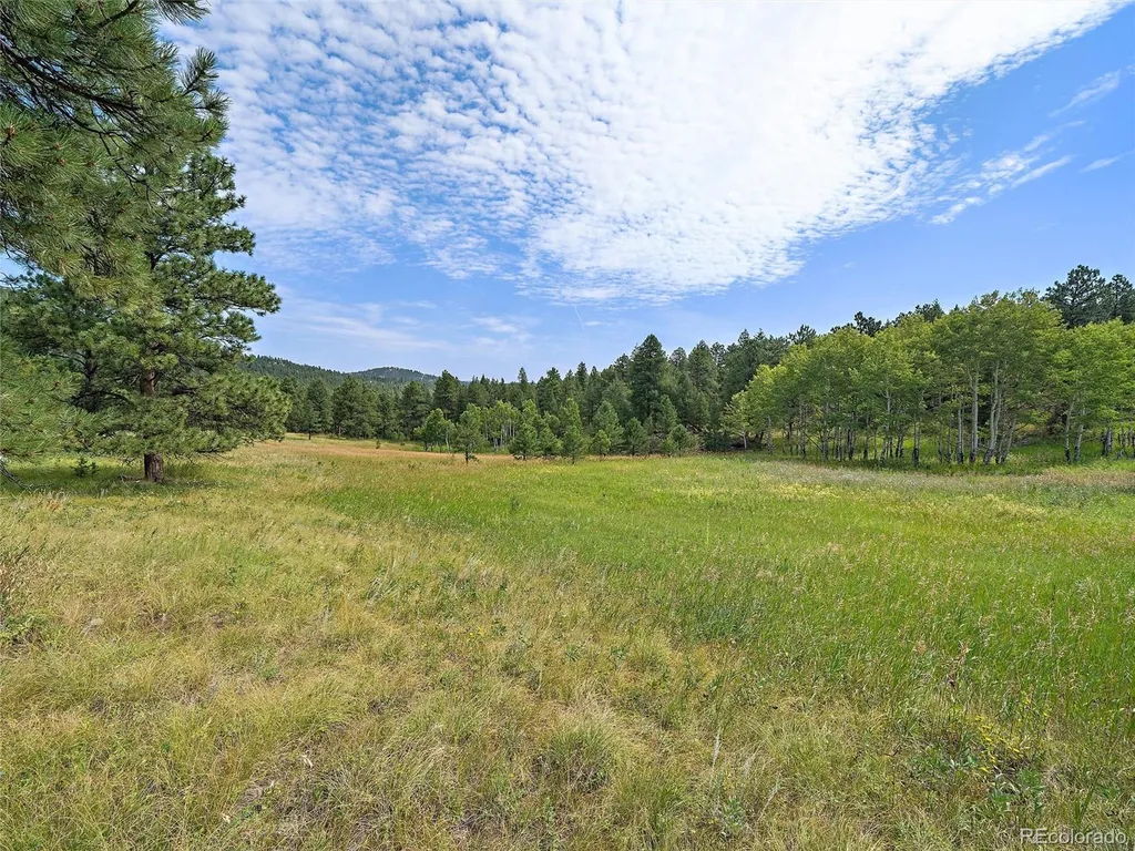 00 S Le Masters Drive Evergreen CO 80439