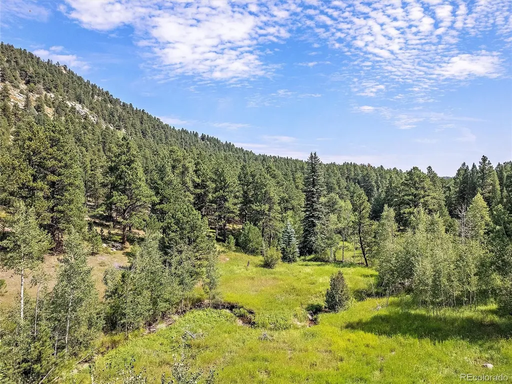 00 S Le Masters Drive Evergreen CO 80439