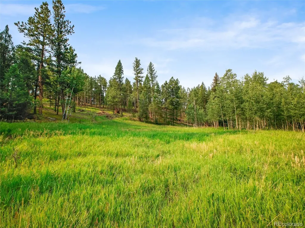 00 S Le Masters Drive Evergreen CO 80439