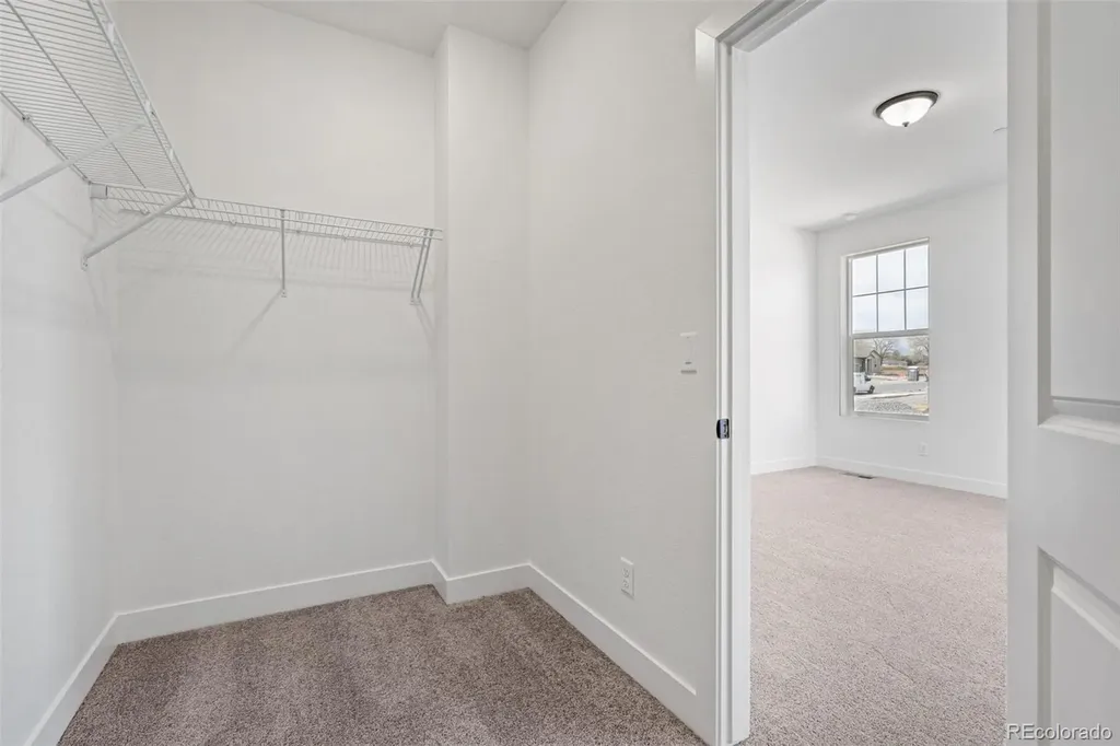 1151 Mourning Dove Avenue Erie CO 80516