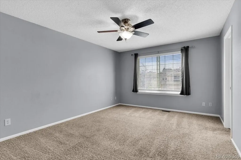 4527 E Andover Avenue Castle Rock CO 80104