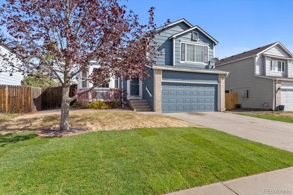 4527 E Andover Avenue Castle Rock CO 80104