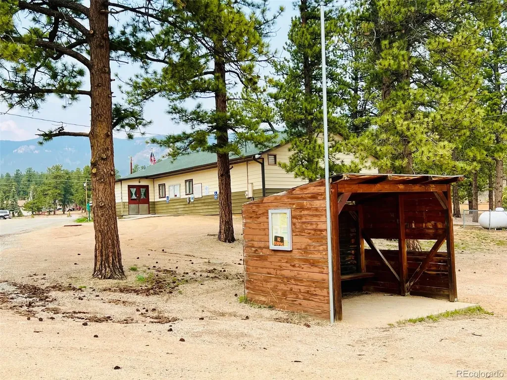 229 Mcdougal Road Bailey CO 80421