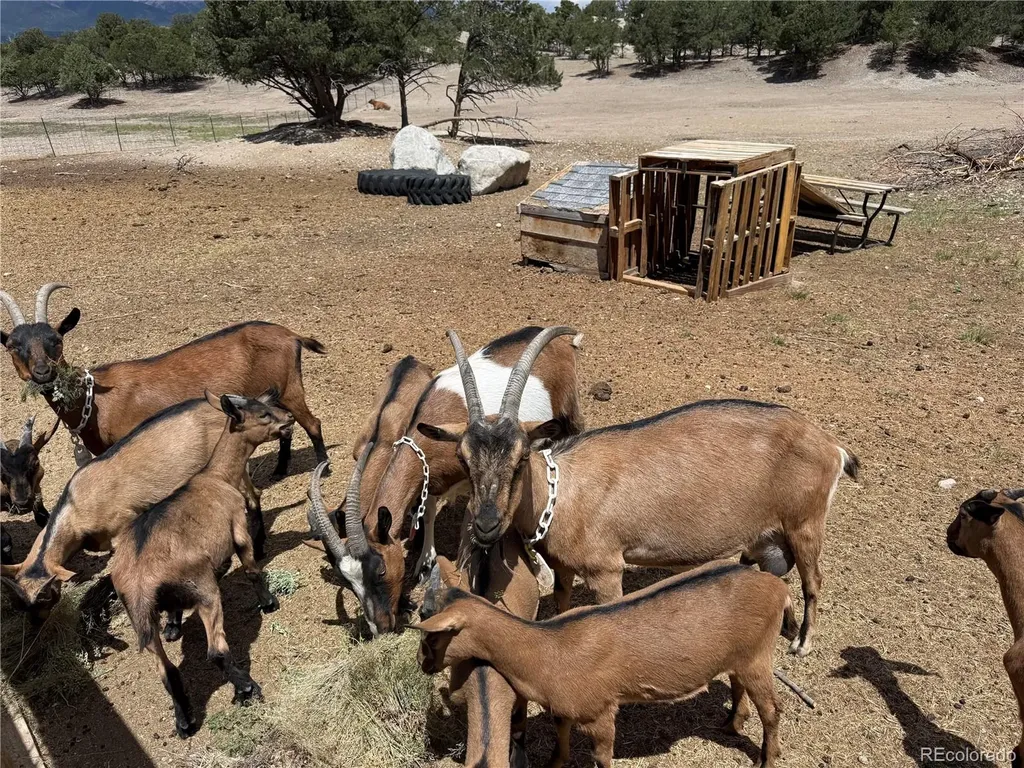 9582 Us Highway 285 Salida CO 81201