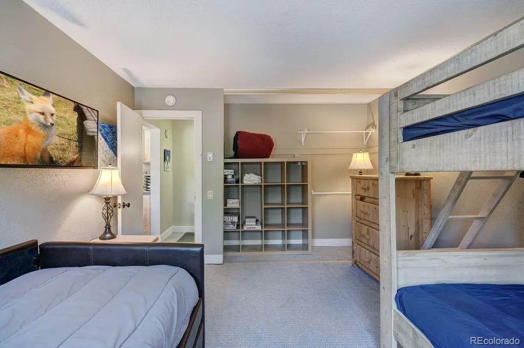 145 Wheeler Place Copper Mountain CO 80443
