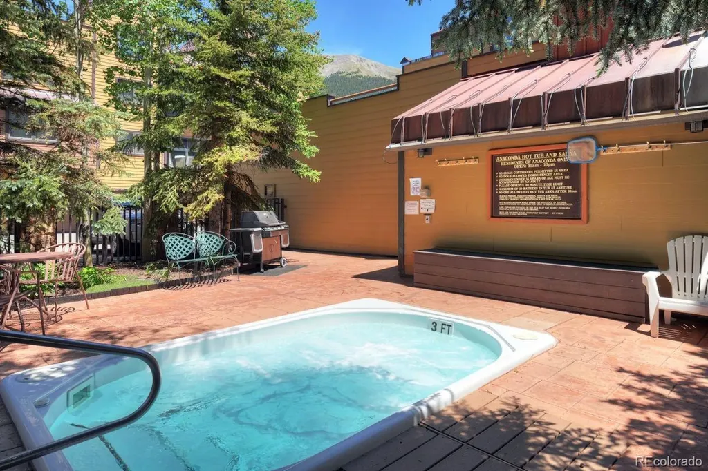 145 Wheeler Place Copper Mountain CO 80443