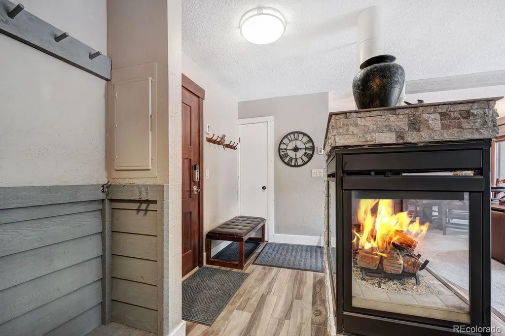 145 Wheeler Place Copper Mountain CO 80443
