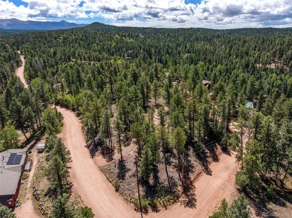 210 Donzi Trail Florissant CO 80816