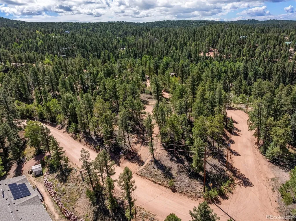210 Donzi Trail Florissant CO 80816
