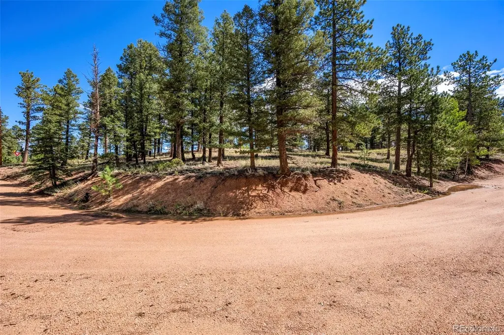 210 Donzi Trail Florissant CO 80816