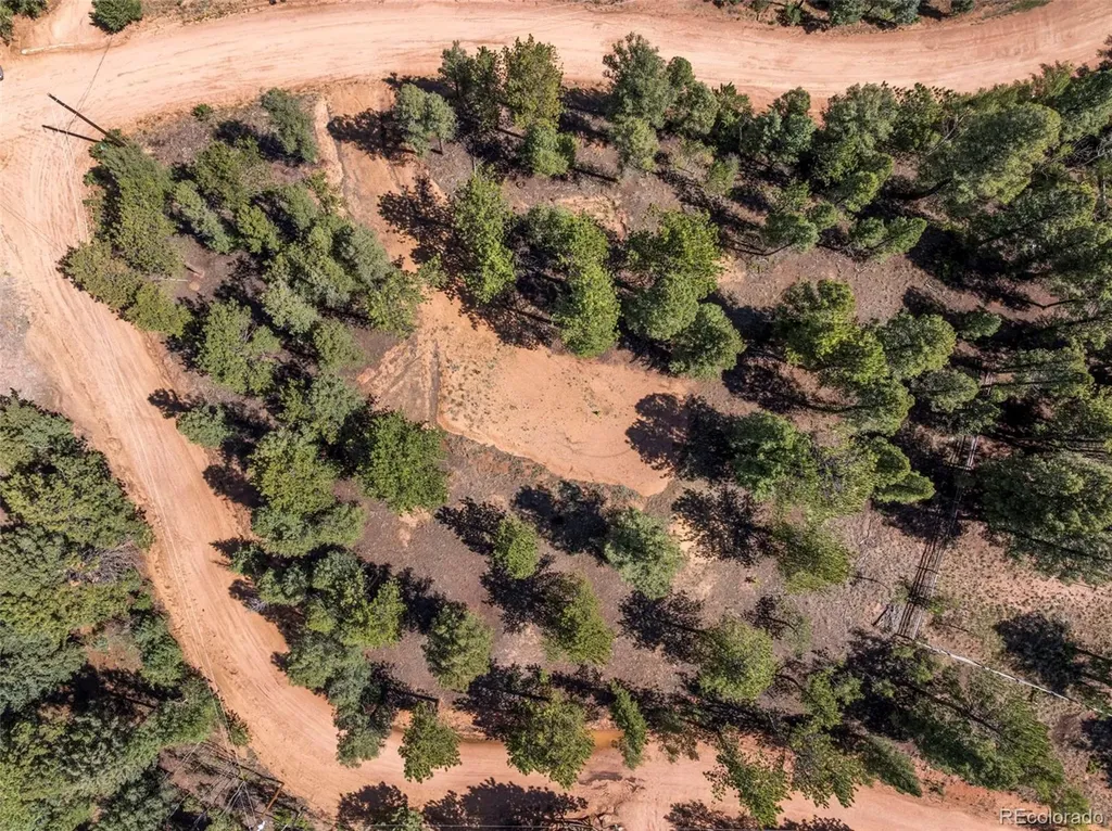 210 Donzi Trail Florissant CO 80816