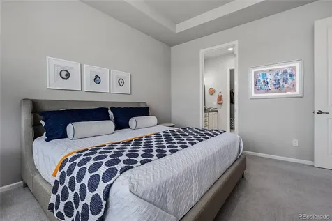 3597 New Haven Circle Castle Rock CO 80109