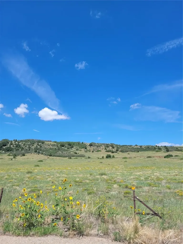 Parrot Drive Alamosa CO 81101