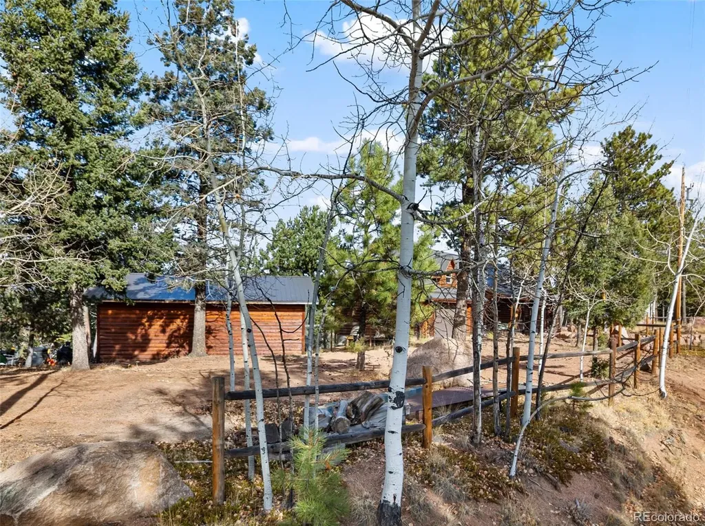 111 Blue Spruce Road Divide CO 80814