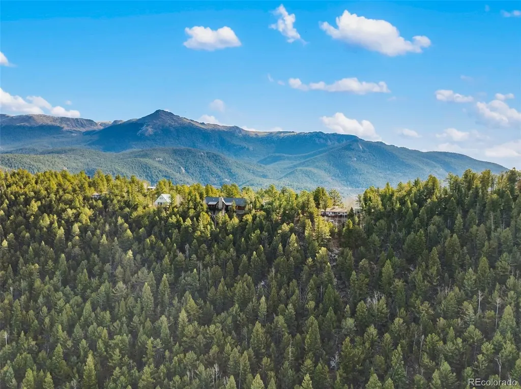 111 Blue Spruce Road Divide CO 80814