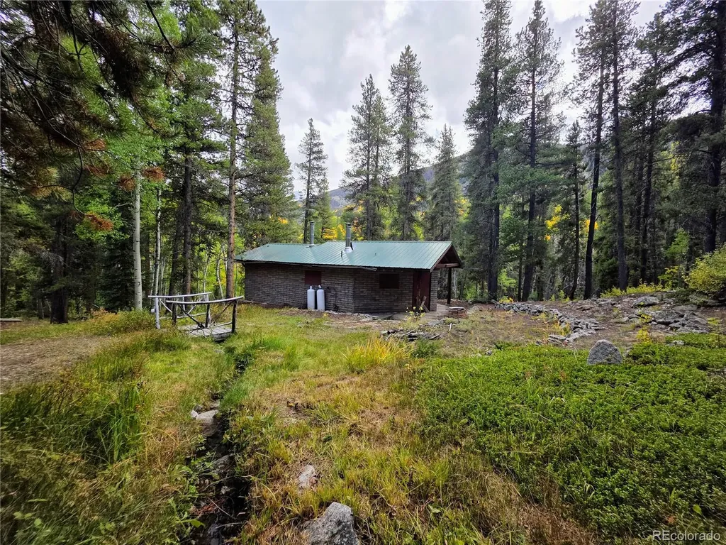 16101 Rob Roy Ms Mc Nathrop CO 81236