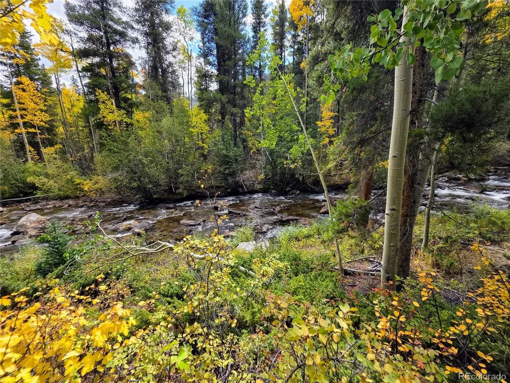 16101 Rob Roy Ms Mc Nathrop CO 81236