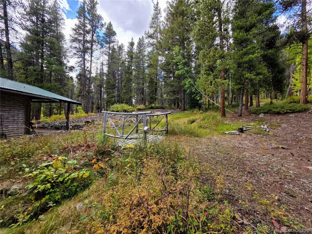 16101 Rob Roy Ms Mc Nathrop CO 81236