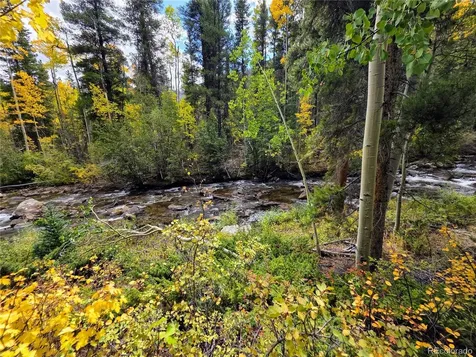 16101 Rob Roy Ms Mc Nathrop CO 81236