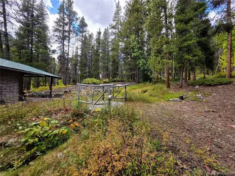 16101 Rob Roy Ms Mc Nathrop CO 81236