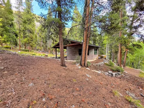 16101 Rob Roy Ms Mc Nathrop CO 81236