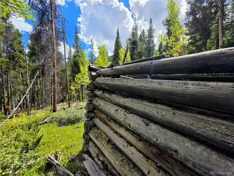 16101 Rob Roy Ms Mc Nathrop CO 81236