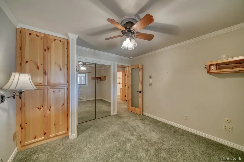 19290 Mountain View Drive Buena Vista CO 81211