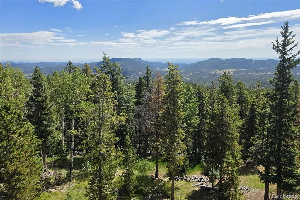 31547 Conifer Mountain Drive Conifer CO 80433