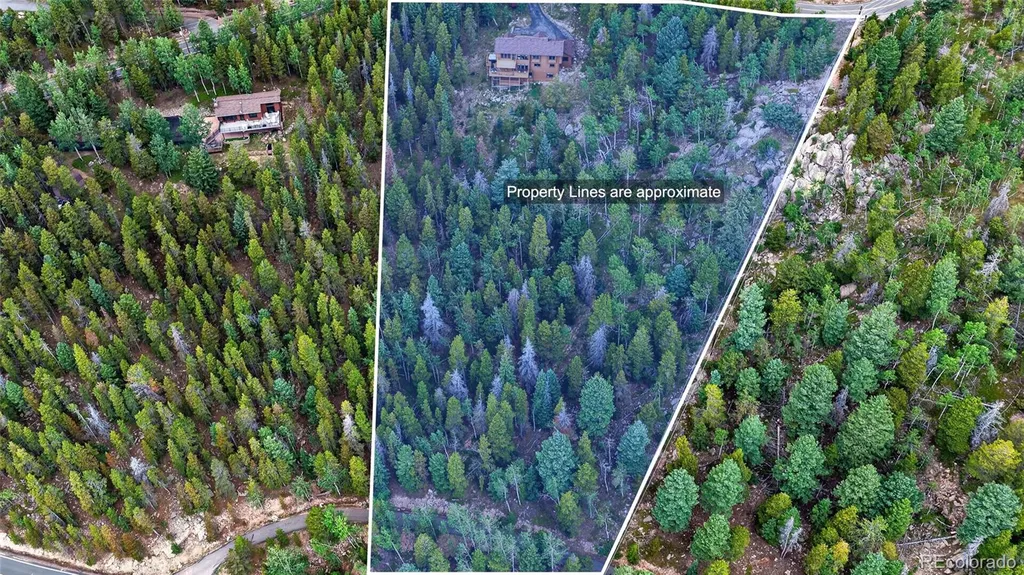 31547 Conifer Mountain Drive Conifer CO 80433