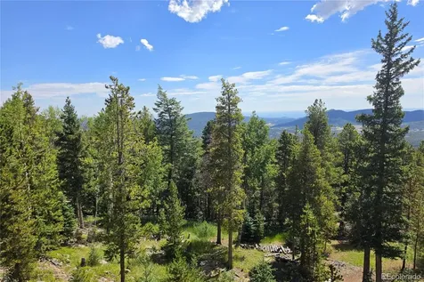 31547 Conifer Mountain Drive Conifer CO 80433