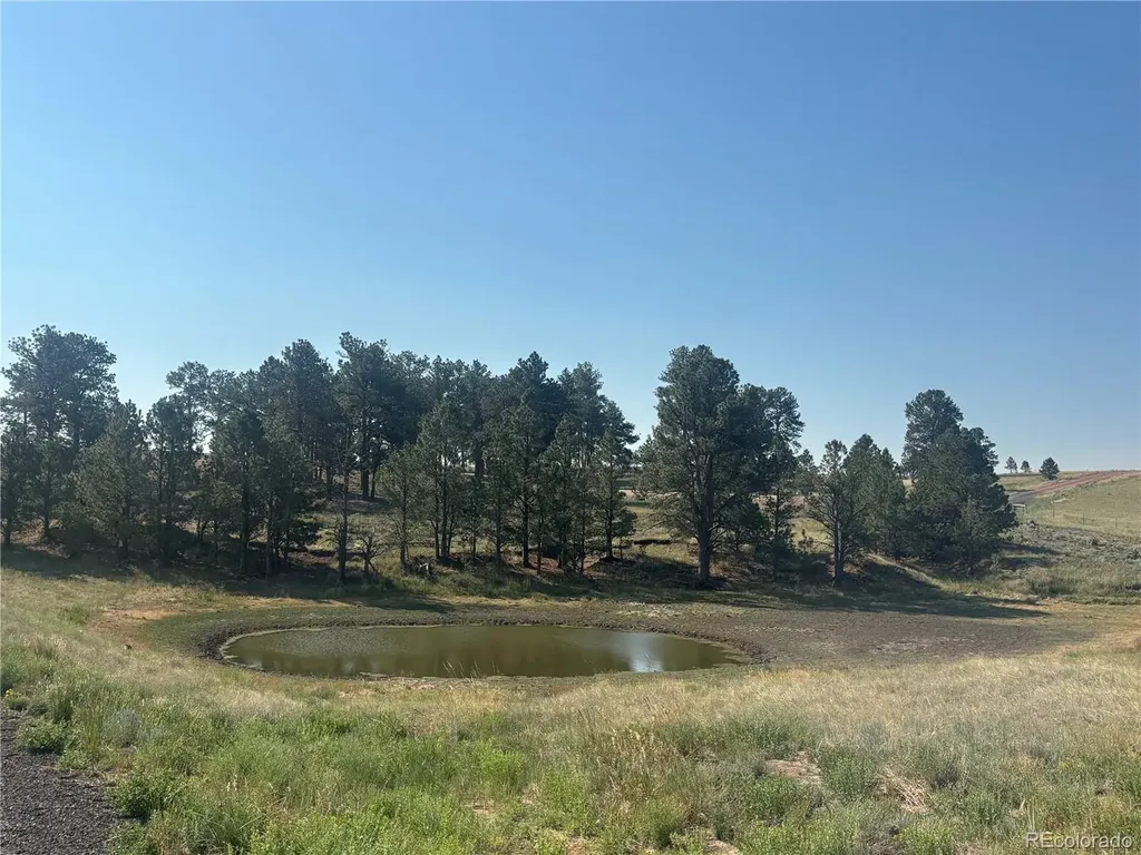 32147 Waylongood Point Kiowa CO 80117