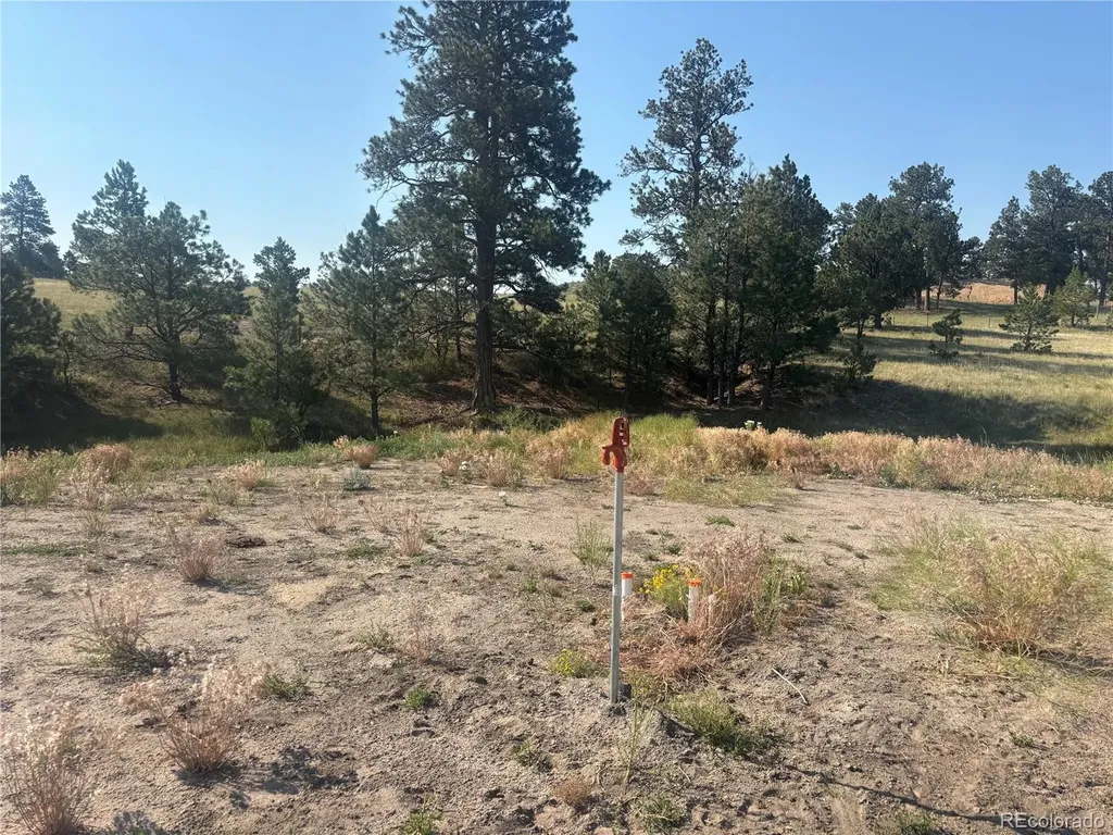 32147 Waylongood Point Kiowa CO 80117