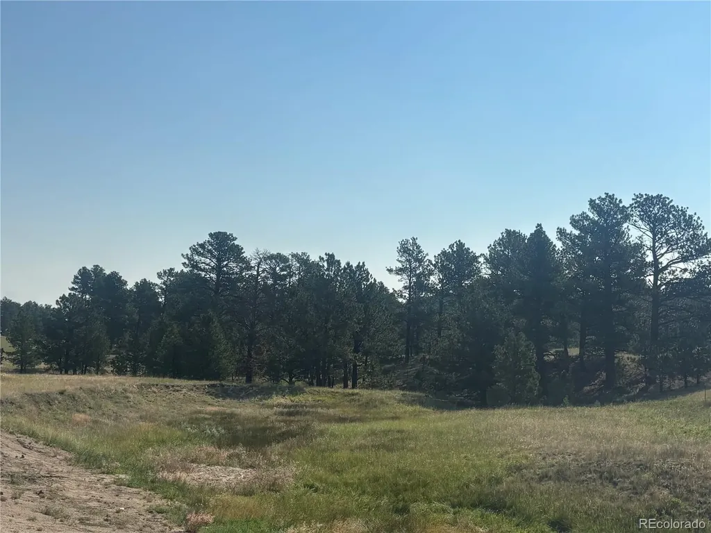32147 Waylongood Point Kiowa CO 80117