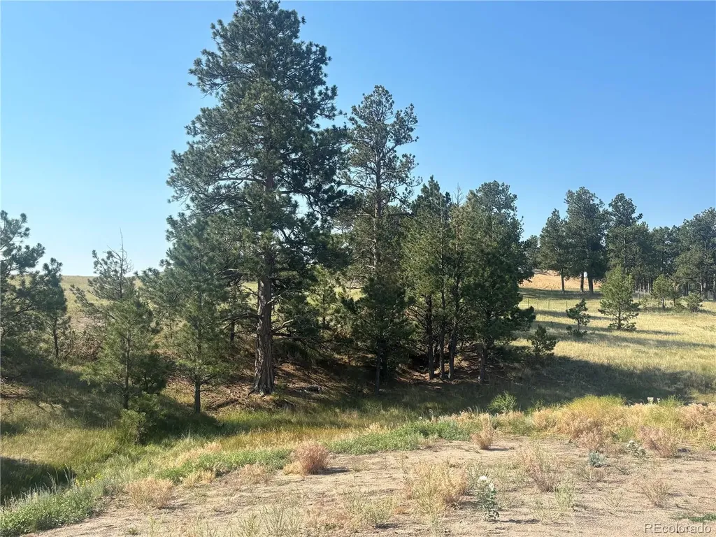 32147 Waylongood Point Kiowa CO 80117
