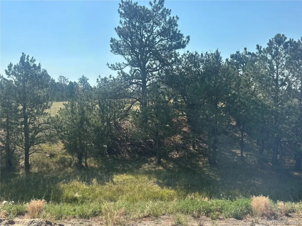 32147 Waylongood Point Kiowa CO 80117