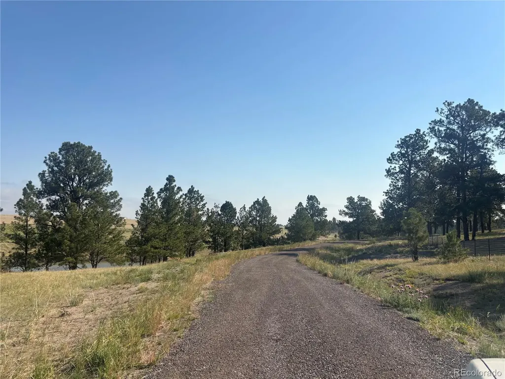 32147 Waylongood Point Kiowa CO 80117