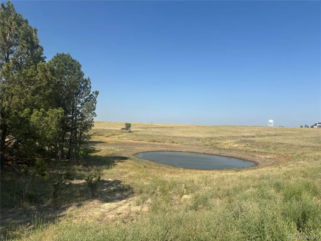 32147 Waylongood Point Kiowa CO 80117