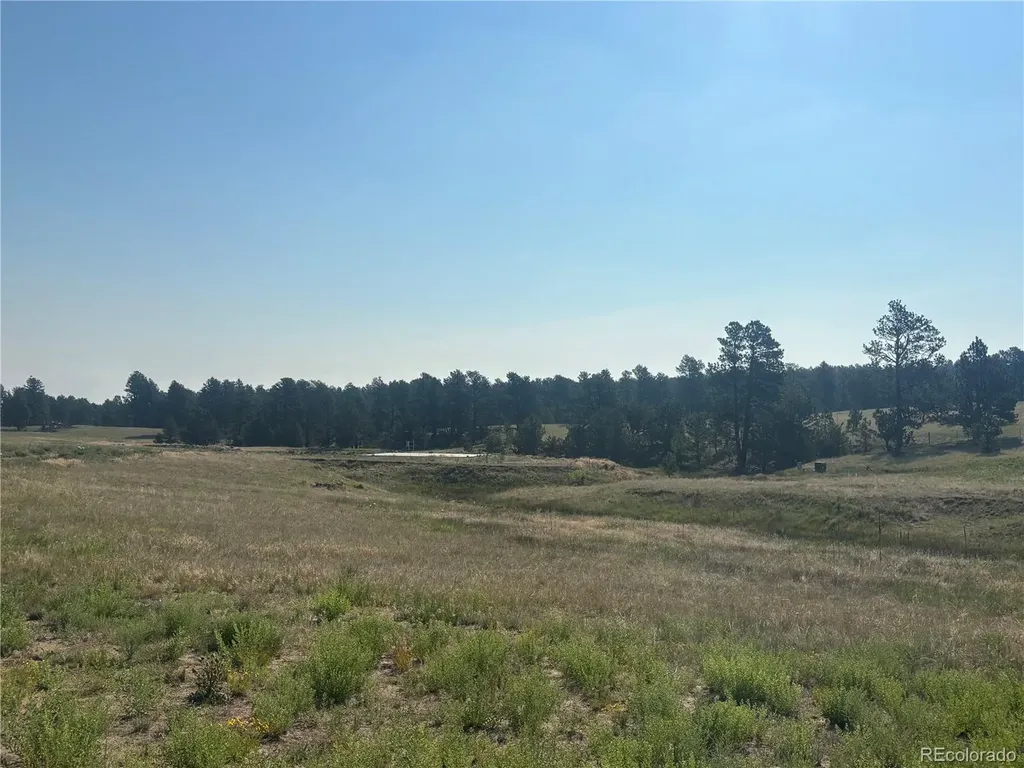 32147 Waylongood Point Kiowa CO 80117