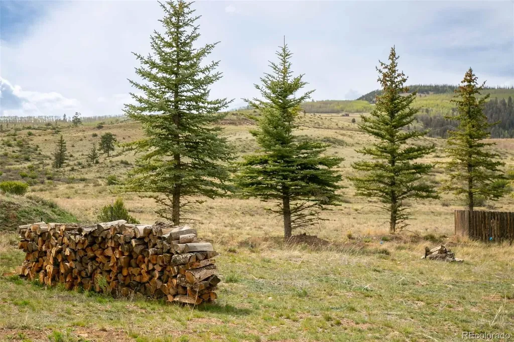 227 Bee Mcclure Drive Creede CO 81130